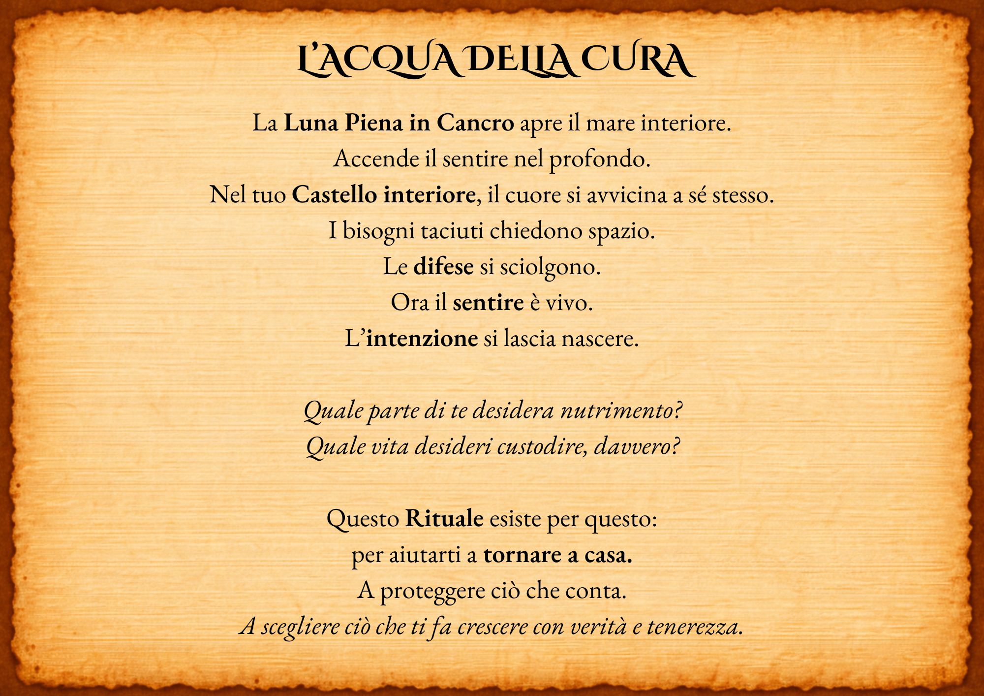 Rituale del Lupo - immagine 3