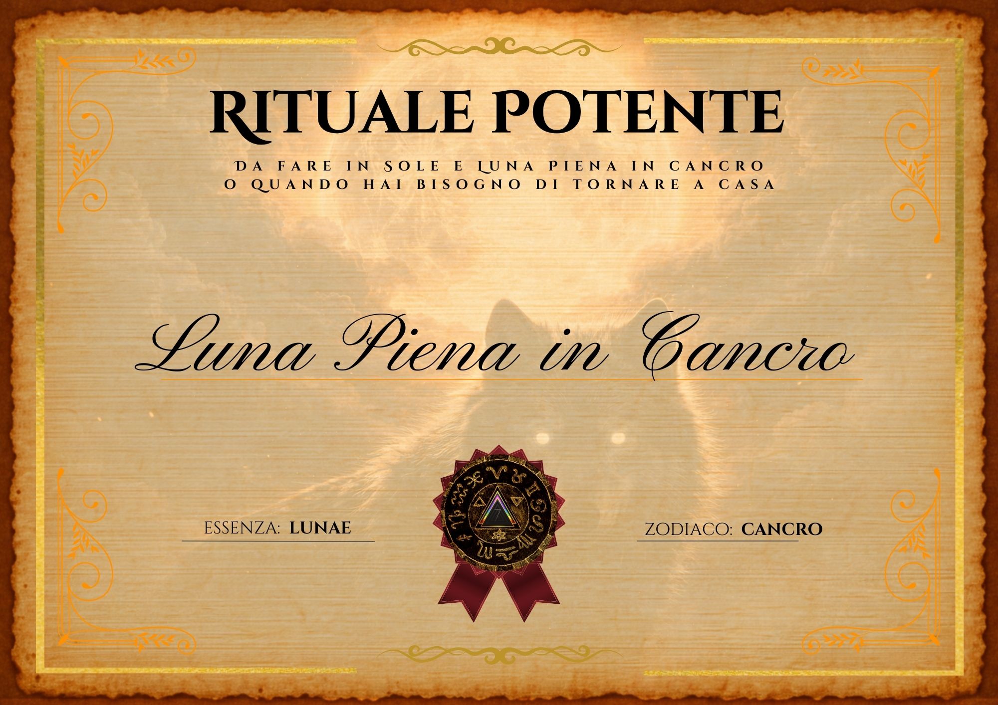 Rituale del Lupo - immagine 2